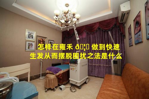 怎样在雍禾 🦋 做到快速生发从而摆脱困扰之法是什么